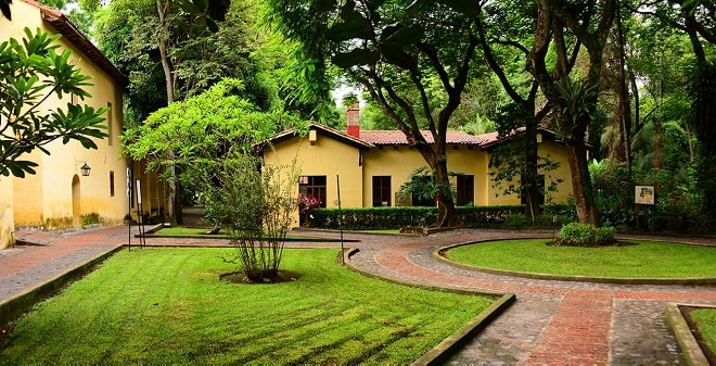 jardin-etnobotanico-y-museo-de-medicina-tradicional-y-herbolaria-cuernavaca-princ-min