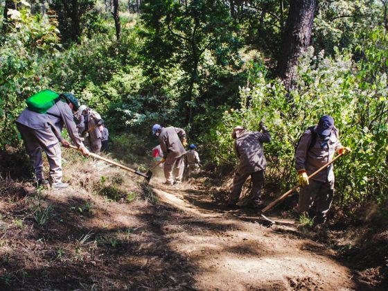 B89 20/02/25 CUERNAVACA PONE EN MARCHA EL PROGRAMA DE BRECHAS CORTAFUEGO PARA LA CONSERVACIÓN DE NUESTROS BOSQUES