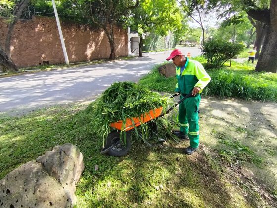 B368 02/07/25 AYUNTAMIENTO DE CUERNAVACA IMPULSA MANTENIMIENTO CLAVE PARA REVITALIZAR LA AVENIDA REFORMA