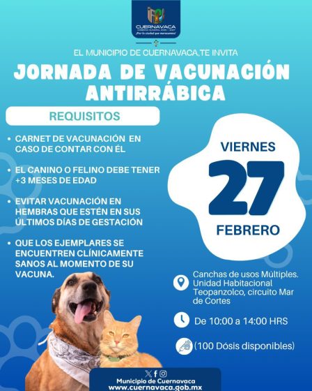 B960 24/02/26 REFUERZA CUERNAVACA ACCIONES DE BIENESTAR ANIMAL CON JORNADAS DE VACUNACIÓN Y ESTERILIZACIÓN
