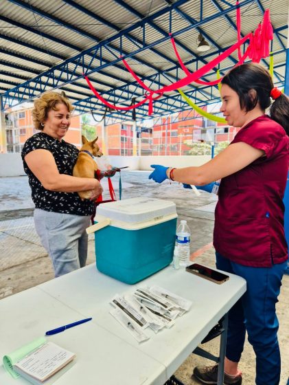 B979 03/03/26 IMPULSA AYUNTAMIENTO DE CUERNAVACA ACCIONES EN FAVOR DE LOS SERES SINTIENTES