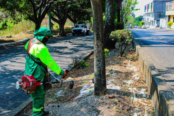 B1142 29/04/26 SERVICIOS PÚBLICOS DE CUERNAVACA REALIZA MANTENIMIENTO INTEGRAL EN AVENIDA VICENTE GUERRERO