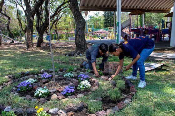 B1178 13/05/26 CUERNAVACA FLORECE TRANSFORMA EL PARQUE ALAMEDA CON COLOR Y PARTICIPACIÓN CIUDADANA