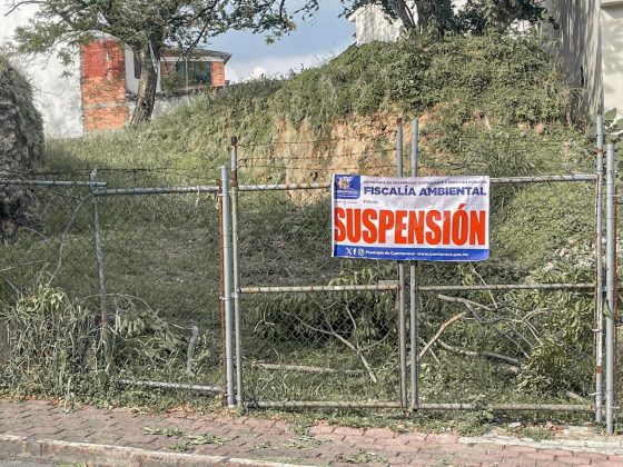 F264 22/06/26 FISCALÍA AMBIENTAL SUSPENDE PREDIO TRAS DETECTAR TALA NO AUTORIZADA EN TLALTENANGO