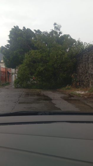 B1241 04/06/26 SEPRAC ATIENDE REPORTES POR LLUVIAS Y REFUERZA ACCIONES PREVENTIVAS EN CUERNAVACA