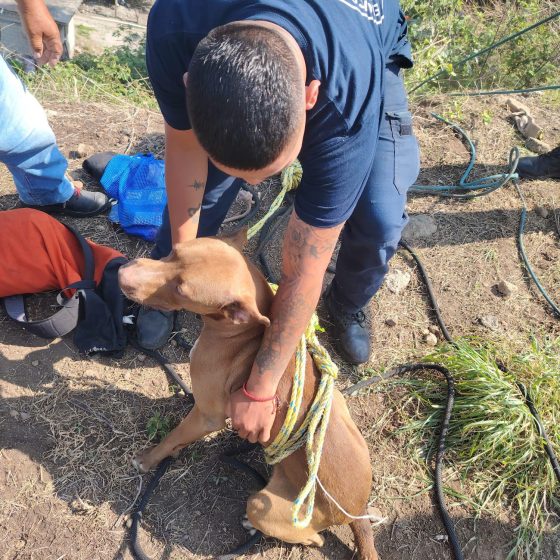 B1328 06/07/26 BOMBEROS DE LA SEPRAC RESCATAN A CANINO ATRAPADO EN UNA LADERA