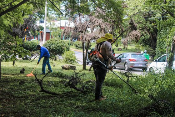 B1363 17/07/26 MEGA JORNADA DE MANTENIMIENTO RECUPERA EL CAMELLÓN DE TEOPANZOLCO