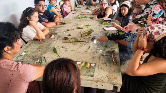 B1405 01/08/26 ARTE Y NATURALEZA CONVERGEN EN EL TALLER “MONOTIPO BOTÁNICO” DEL QUINTO FESTIVAL CULTURAL DE VERANO CUERNAVACA 2026