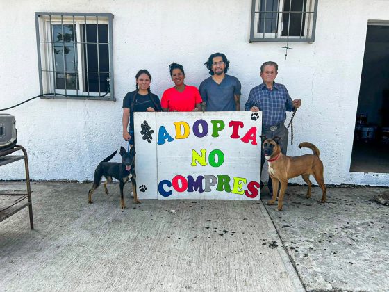 B1418 05/08/26 GOBIERNO DE CUERNAVACA IMPULSA LA ADOPCIÓN RESPONSABLE DE PERRITOS RESCATADOS