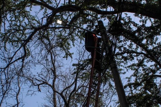 F299 10/08/26 ILUMINANDO CUERNAVACA REHABILITA EN SU TOTALIDAD EL ALUMBRADO PÚBLICO DE AVENIDA PALMIRA