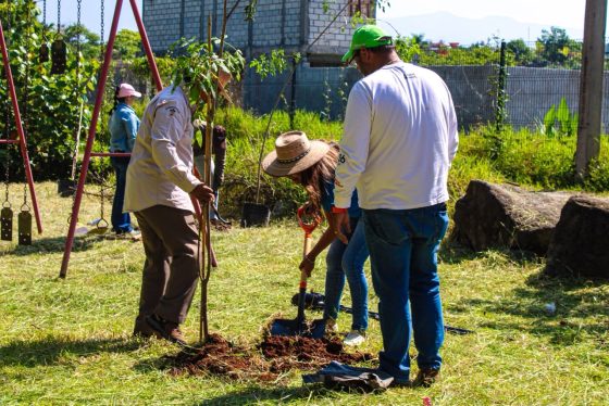 B1417 05/08/26 REALIZA CUERNAVACA JORNADA DE REFORESTACIÓN EN EL PARQUE BICENTENARIO