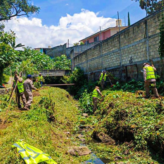 B1503 05/09/26 CUERNAVACA IMPULSA LA REFORESTACIÓN URBANA CON 23 TEPEHUAJES EN LA BARRANCA TECOYUCO