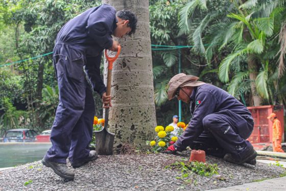B1611 11/10/26 AYUNTAMIENTO DE CUERNAVACA REALIZA MANTENIMIENTO INTEGRAL EN EL PARQUE MELCHOR OCAMPO Y SU PERIFERIA