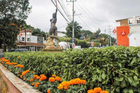 B1598 07/10/26 MUNICIPIO DE CUERNAVACA PLANTA, POR SEGUNDO AÑO CONSECUTIVO, FLOR DE CEMPASÚCHIL PRODUCIDA EN EL VIVERO MUNICIPAL